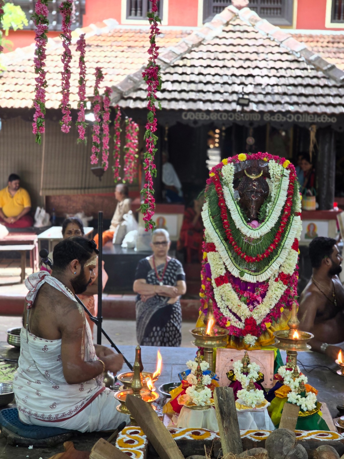 Priest performing Navagraha Homam before the garlanded deity